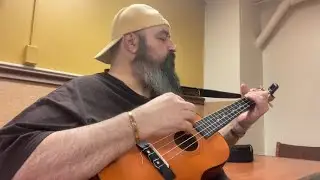 Dust In The Wind by Kansas acoustic baritone ukulele cover 