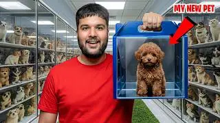 New Pet Reveal  | Friends, Bars & Caf&eacute; Hopping | Featuring Jerry | FtJerry Vlogs