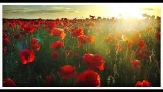 Prospect March/Poppyfields Cover