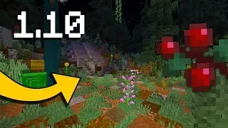 САМЫЙ КРАСИВЫЙ СЕРВЕР ДЛЯ MINECRAFT PE 1.10.1! HYPE-PE