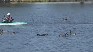Lodi Lake raising fees for parking, beach access, and rentals