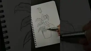 How to draw plant satisfying #shorts #plant #art #drawing
