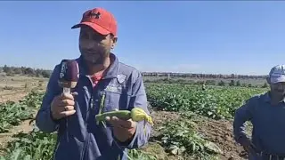 @لقاء مع chouf TV من المنصورية بنسليمان