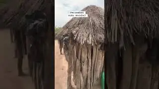 rumah yang kuat suku mucubal #africa #budaya #tradisi #mucubal