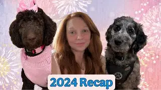 2024 Recap of Hazel-NUT and Samson