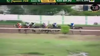 She's a Maneater (JAM) - 2019 Jamaica Super Stakes