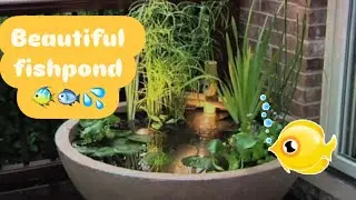 Easy way to make fish pond #fishpond #aquarium#fish🐠🐟￼