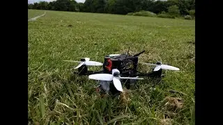 Furibee x140