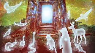 PAC: WHICH ANIMAL IS YOUR SPIRIT ANIMAL & WHAT DOES IT WANT YOU TO KNOW PART 2 PILES 4/5/6