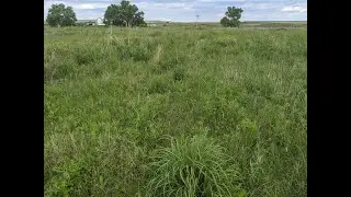 Pasture renovation at Dakota Lakes Research Farm