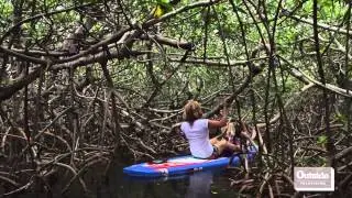Stand Up Paddling the Florida Keys | Facing Waves