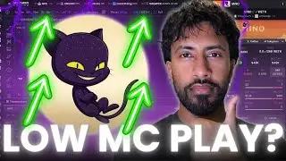 Кот $MINO сможет бежать очень скоро? Низкий уровень монеты MC Meme (обязательно к просмотру)