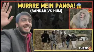 Murree Mein Bandar Se Panga Le Liya! 😂🐒 (Full Masti Vlog)