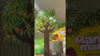 Indian Mango Festival 2025 🍋 at Souq Waqif | Hamba Exhibition Highlights!