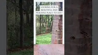 gated community farmland plots near bangalore hosur road bangalore -  2024 - 4