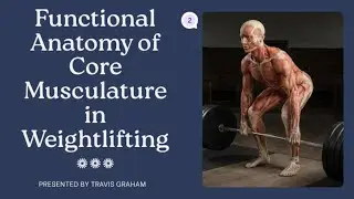 Part 1   Functional Anatomy Of The Core in Weightlifting