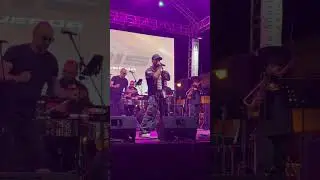 Luis Figueroa LIVE at The Isabela Festival Day 5