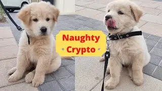 Our Naughty 