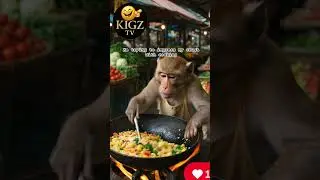 Monkey MasterChef: Cooking Noodles in the Jungle