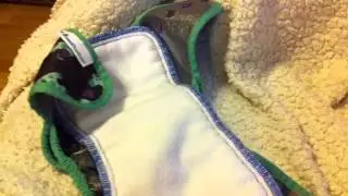 Best Bottoms Cloth Diaper Review