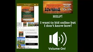 Reese Bros. Tennessee Mule Sale - How To Bid Online