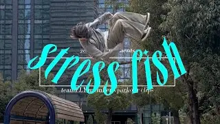 teamfly 2025 parkour clips