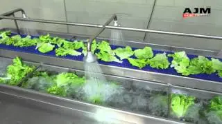 PRÉ LAVADOR (Hortaliças e Vegetais) - Modelo EST 200