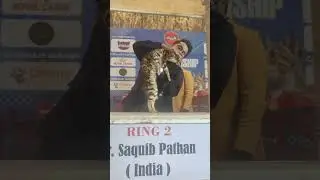 Cat show delhi 2026 by FCI