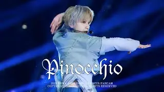 251115 AHOF DAISUKE KGMA FOCUS “피노키오는 거짓말을 싫어해”（FANCAM）