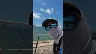 Went back to Ramsgate beach and caught a PB Trevally