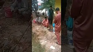 Mancing bekas kolam di sekolah dapat ikan lele jumbo#aepchannel