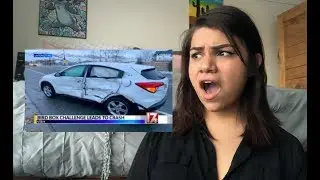 BIRD BOX CHALLENGE REACTION