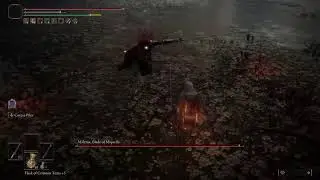 Fight s Malleniou za Platinu (no Armor, no Summon and Blood build)