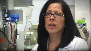 Dr. Jaffee's Mission to Fight Pancreatic Cancer