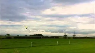 Mikado Logo 600 3D Matt Gill
