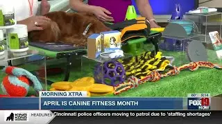 April is Canine Fitness Month