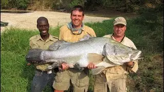 Amazing Nile Perch Fight, Murchison Falls, Uganda