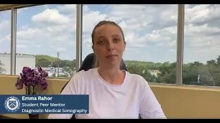 Peer Mentor Program: Guidance That Makes a Difference | AIMS Education