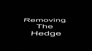 Removing The Hedge.. gardening DIY.. view.