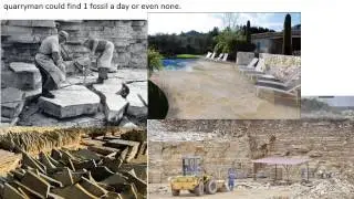 German Fossil Quarries