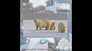 Todays talking is Save the polar bears#roblox#shorts