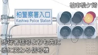 【柏市松ケ崎】歩行者信号よりも先に赤に変わる信号 @柏警察署入口