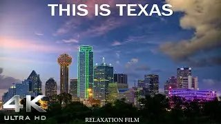 Texas City Night View
