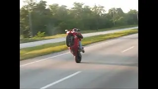 Fear Less Fish Wheelie Express with Mark !!!