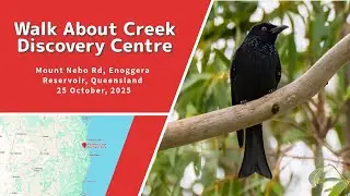 Walkabout Creek Discovery Centre