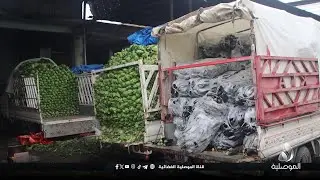 تجار الموصل: الإنتاج المحلي من الخضروات متوفر.. ونطالب بمنع الاستيراد
