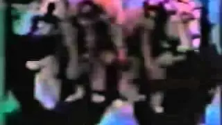 Question Authority! - Timothy Leary - How to Operate Your Brain