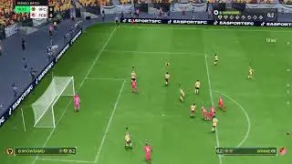 BeeWolves FC