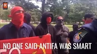 Antifa are Idiots | Digital Conservative