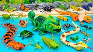 ZURU ROBO ALIVE COLLECTION | UNBOXING Robo Chameleon, RC Lizard , Naja Cobra Snake Compilation |ASMR